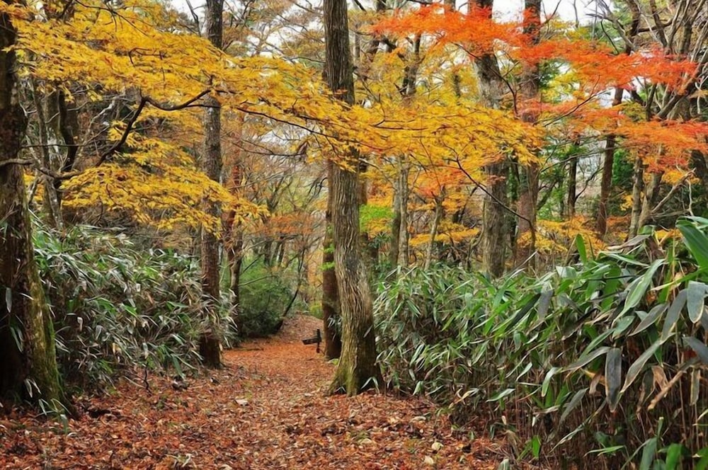 箱根ゲストハウス TOI 箱根