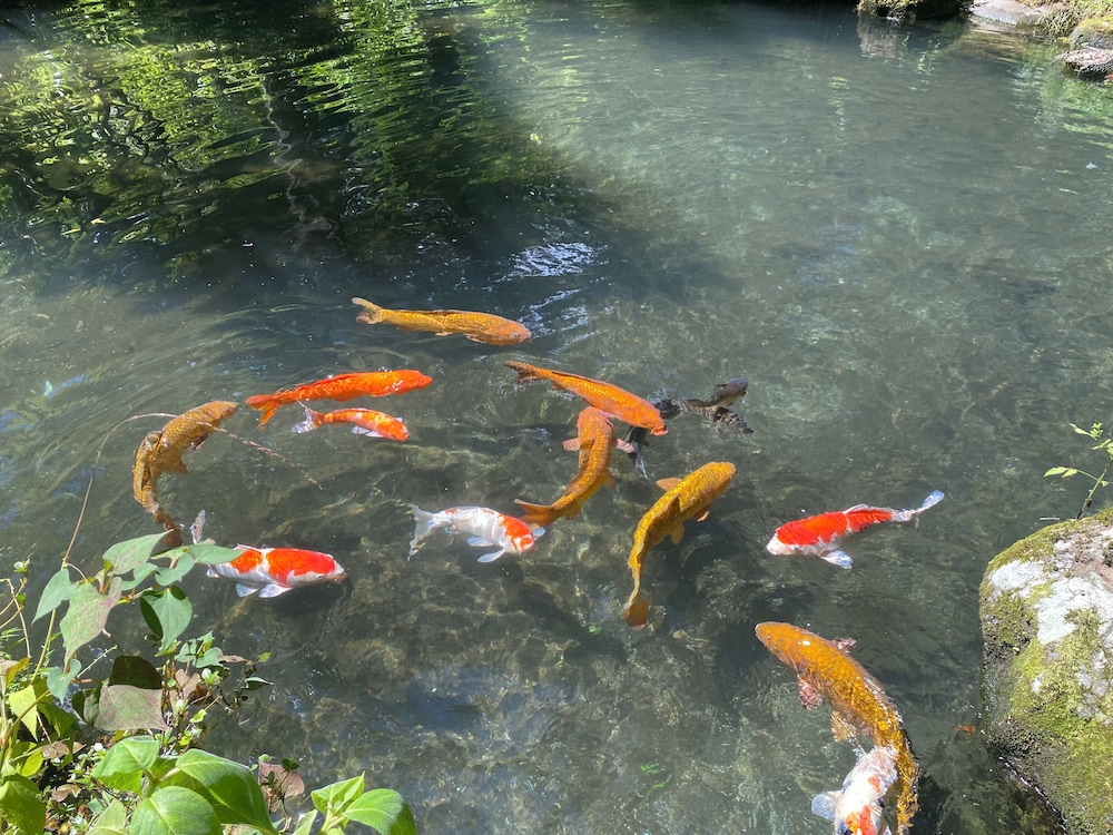 箱根ホテル小涌園 箱根