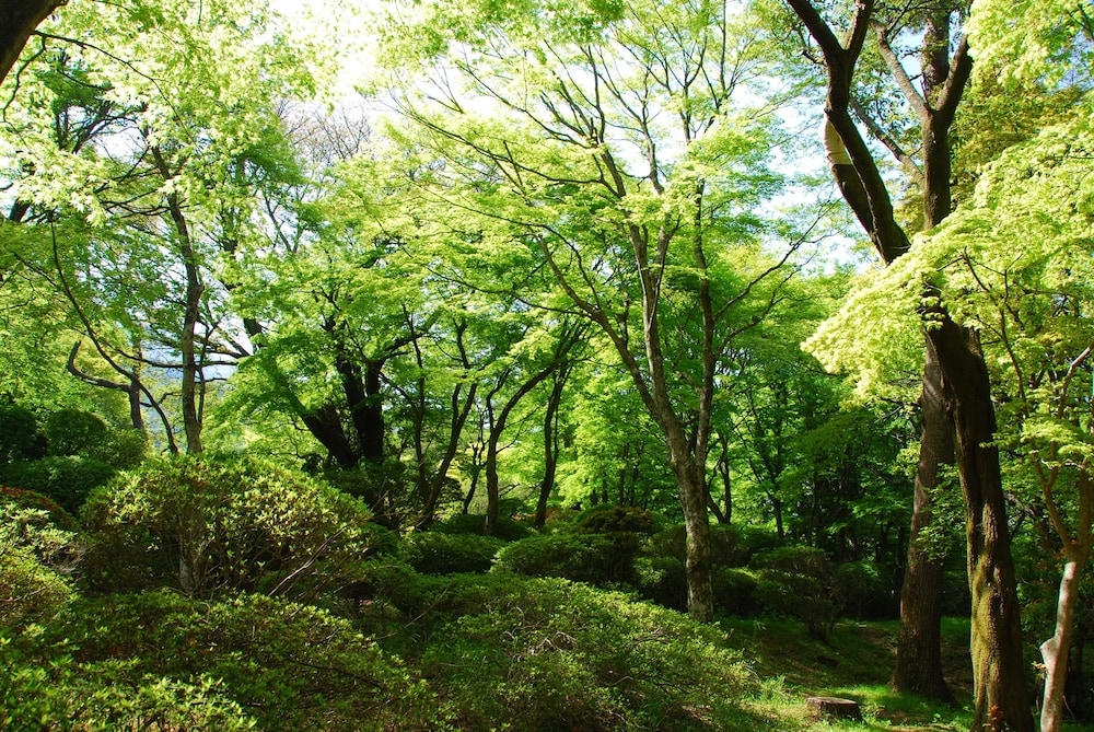 箱根ホテル小涌園 箱根