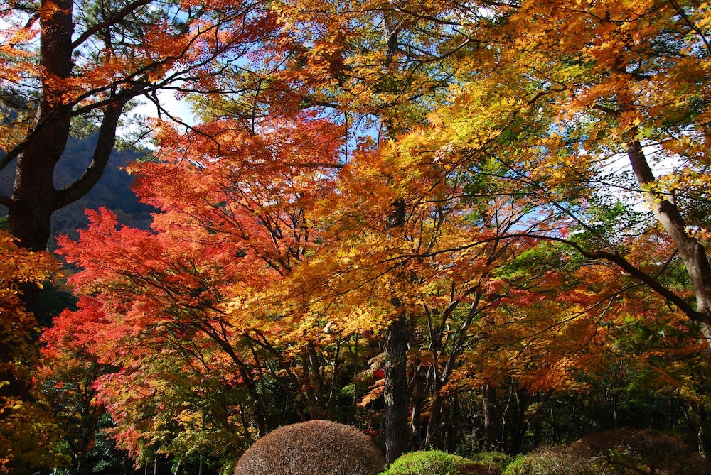 箱根ホテル小涌園 箱根