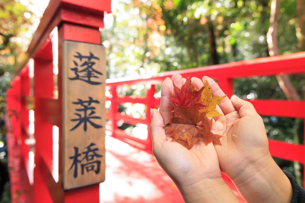 箱根ホテル小涌園 箱根