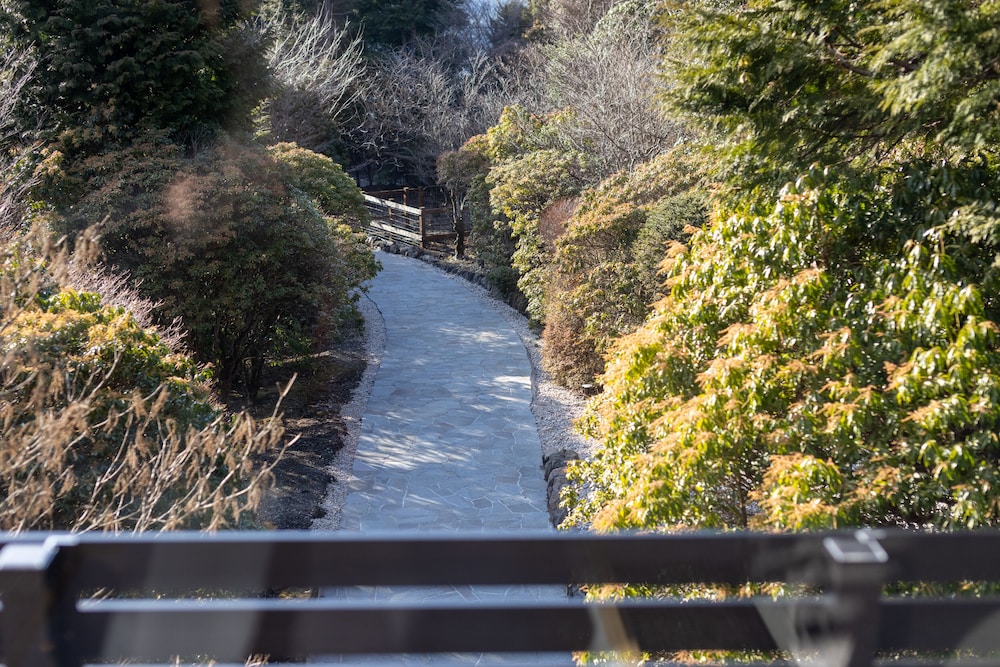 仙石原古今 箱根