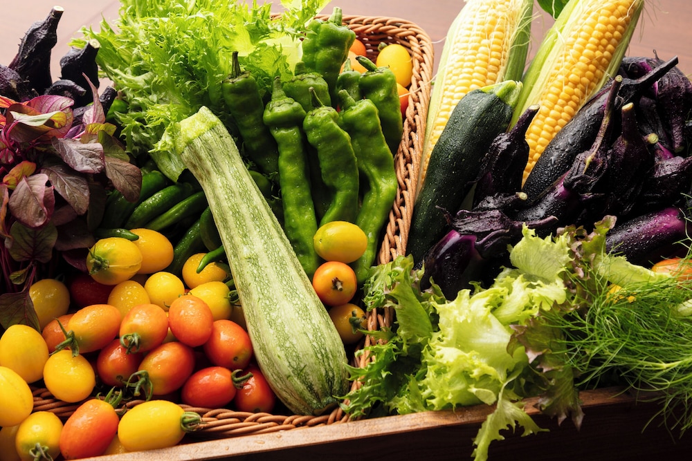 NOL HAKONE MYOJINDAI 箱根