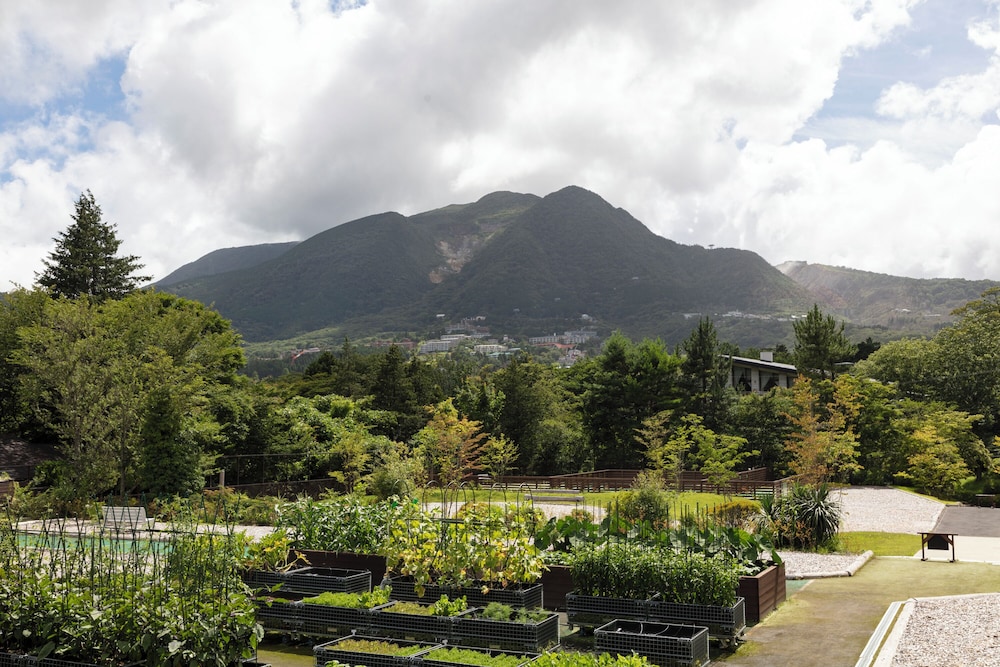 NOL HAKONE MYOJINDAI 箱根