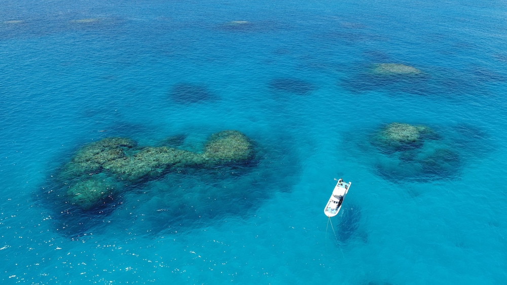 ペンション海のなかま 石垣