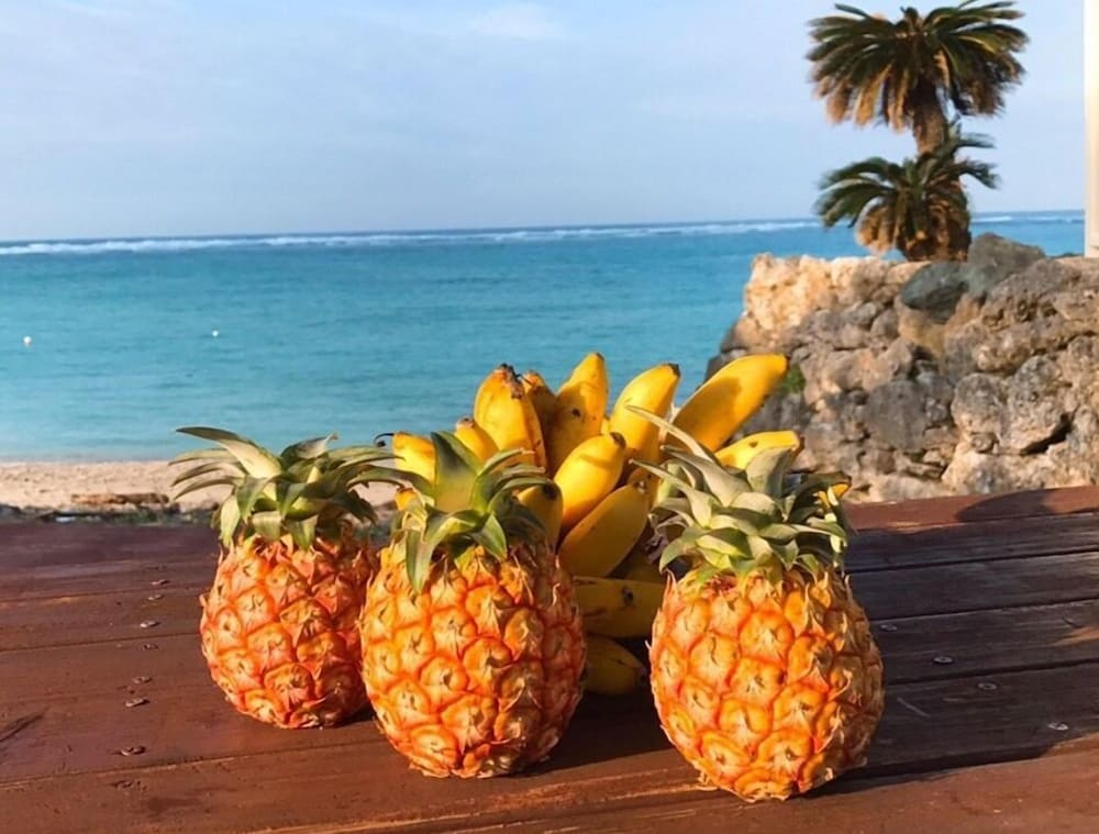 ALOALO BEACH 川平 石垣