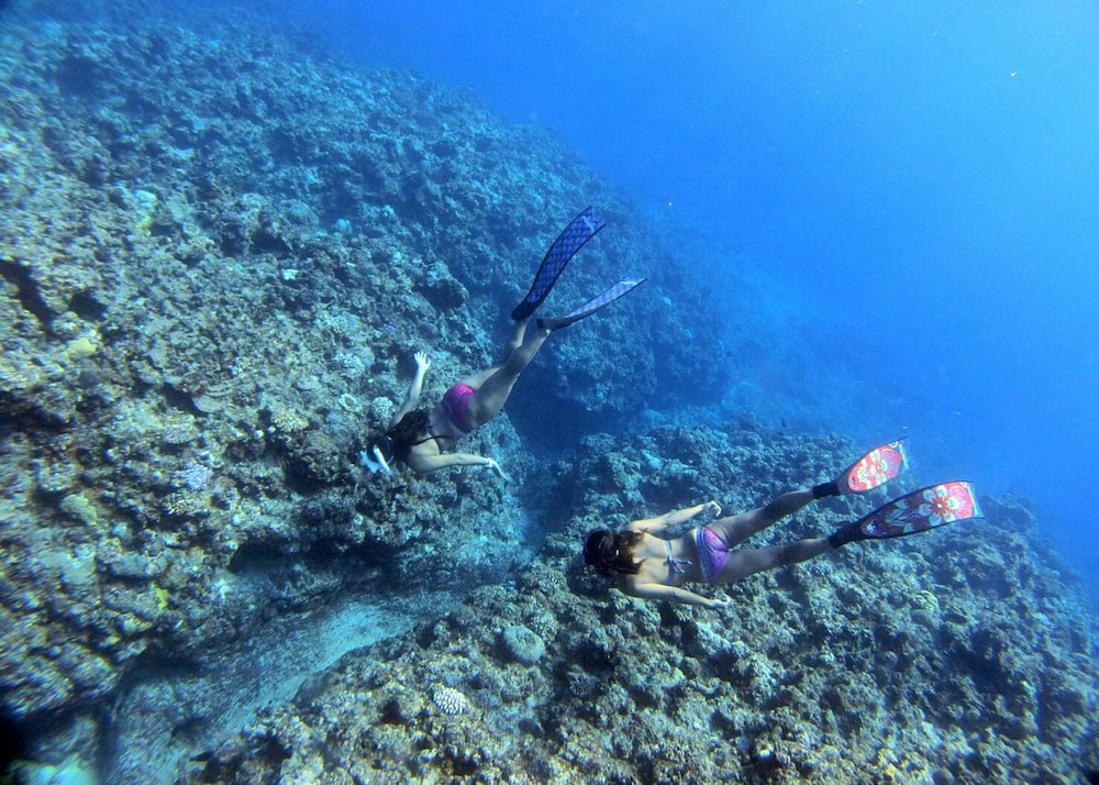 石垣島サンフラワーハウス 石垣