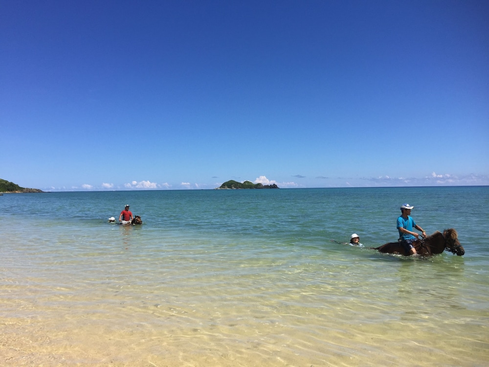 セブンカラーズ石垣島 石垣