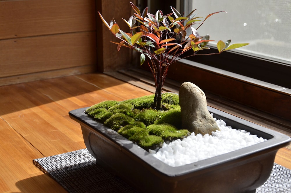 石垣島の宿 HO-MA 家 石垣