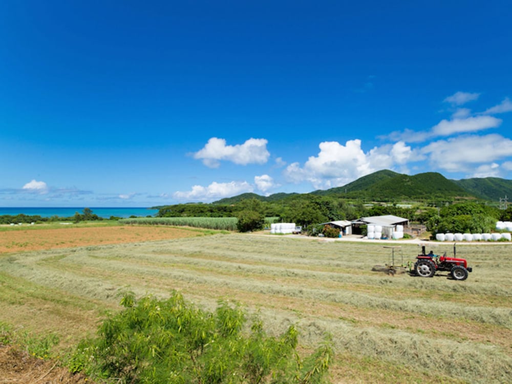 石垣島サン・グリーンリゾートホテル 石垣