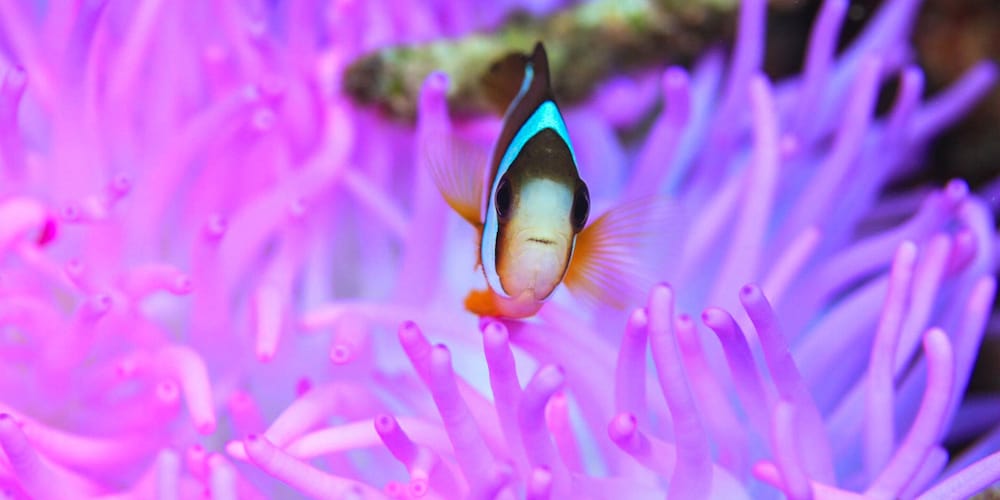 ゲストハウスえみっくす石垣島 石垣