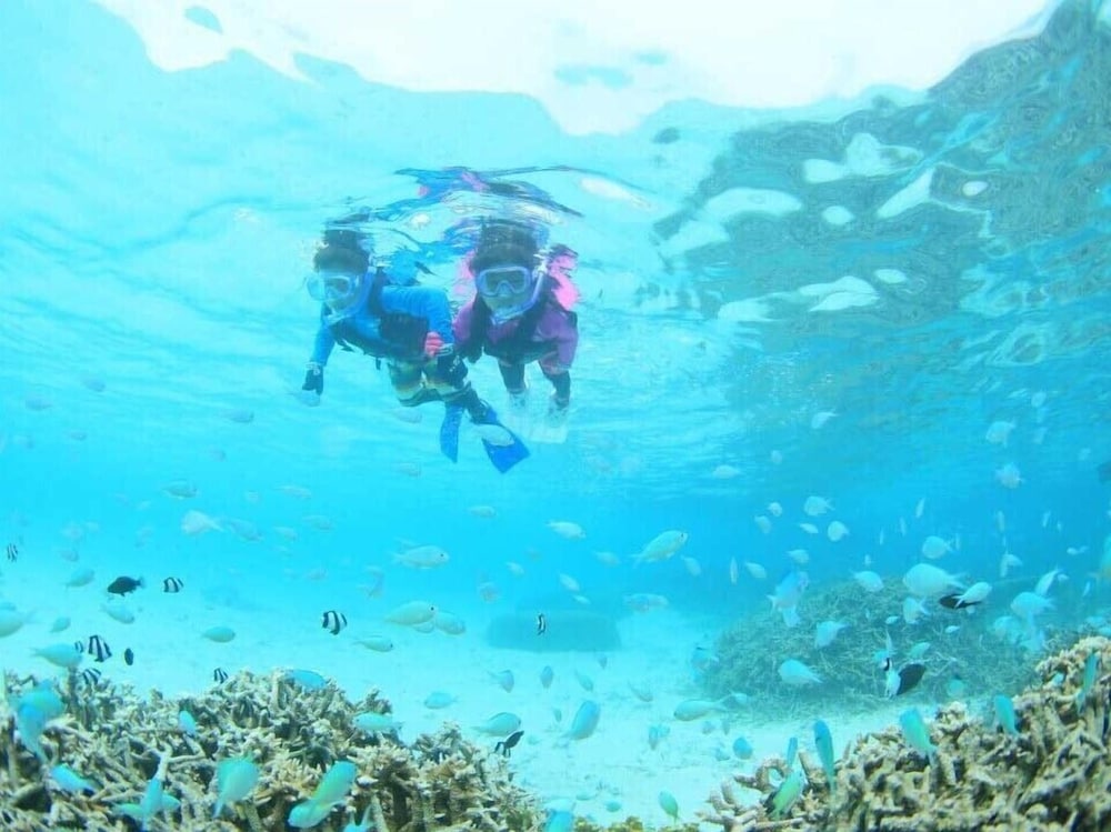 パイヌシマ リゾート コーラルフィッシュ 石垣