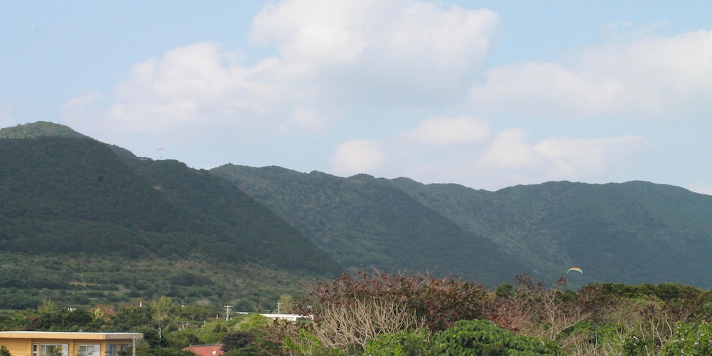 パイヌシマ リゾート コーラルフィッシュ 石垣