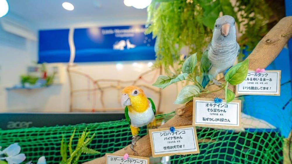リトルマーメイドホテル石垣島 石垣