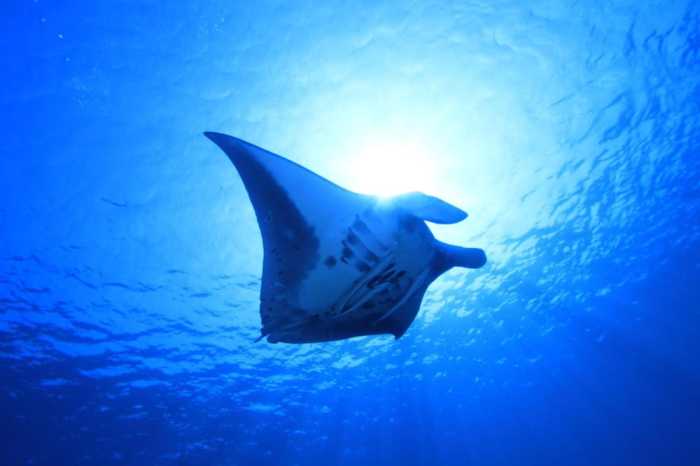 宇宙宿?SORAYADO? 石垣