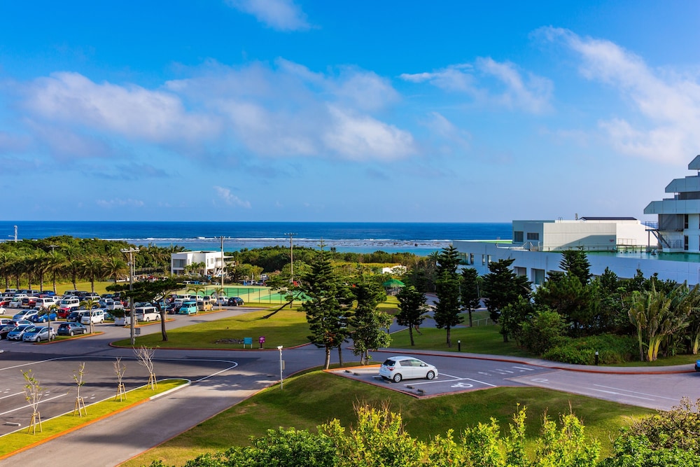 MR.KINJO BEACH SIDE KAFU-SHI 石垣