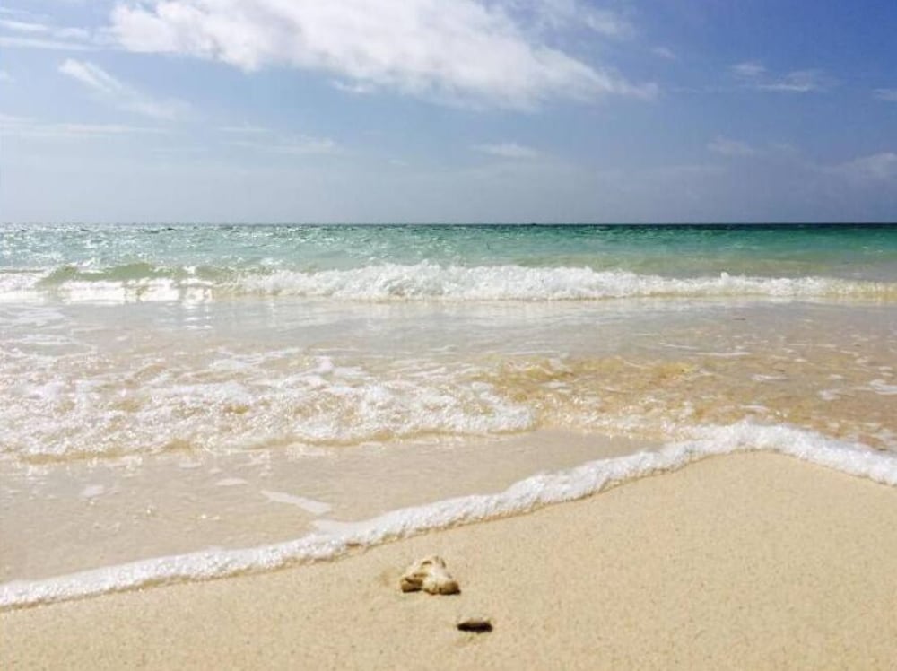 石垣ハウス WESP 石垣