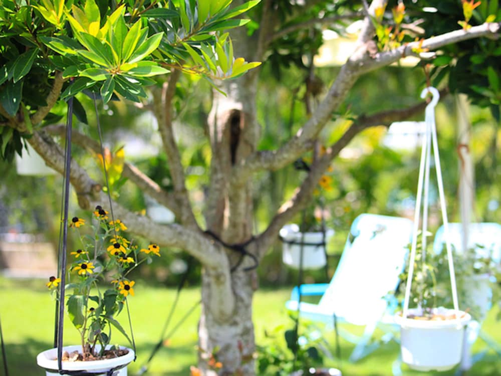 燦鐘苑 マーペーの宿 石垣