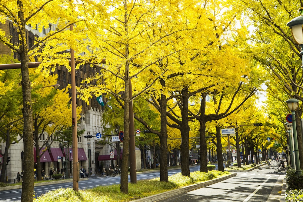 ホテル日航大阪 大阪