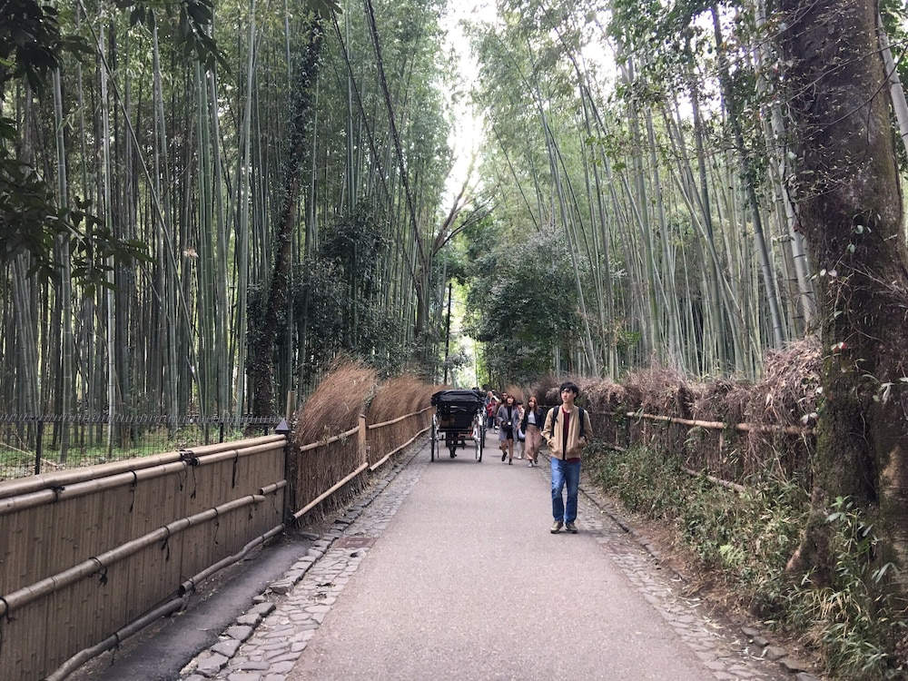 ゲストハウス ジャコテル 鶴橋 大阪