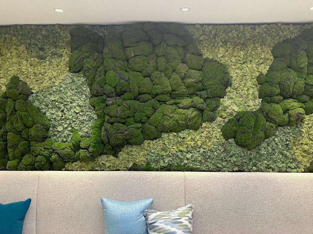 GARNER HOTEL 大阪本町北船場 バイ IHG 大阪