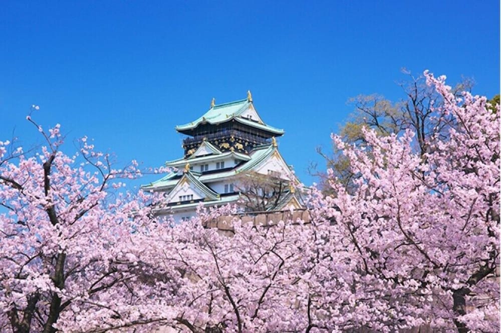 アインズ イン 梅田東 大阪