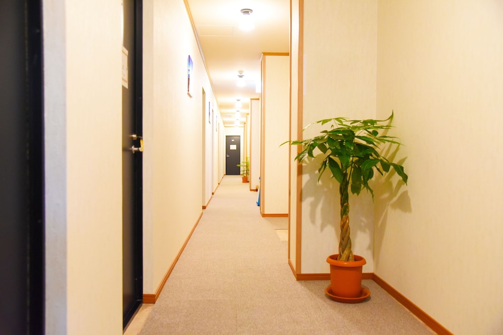 MT SWEET HOUSE 大阪