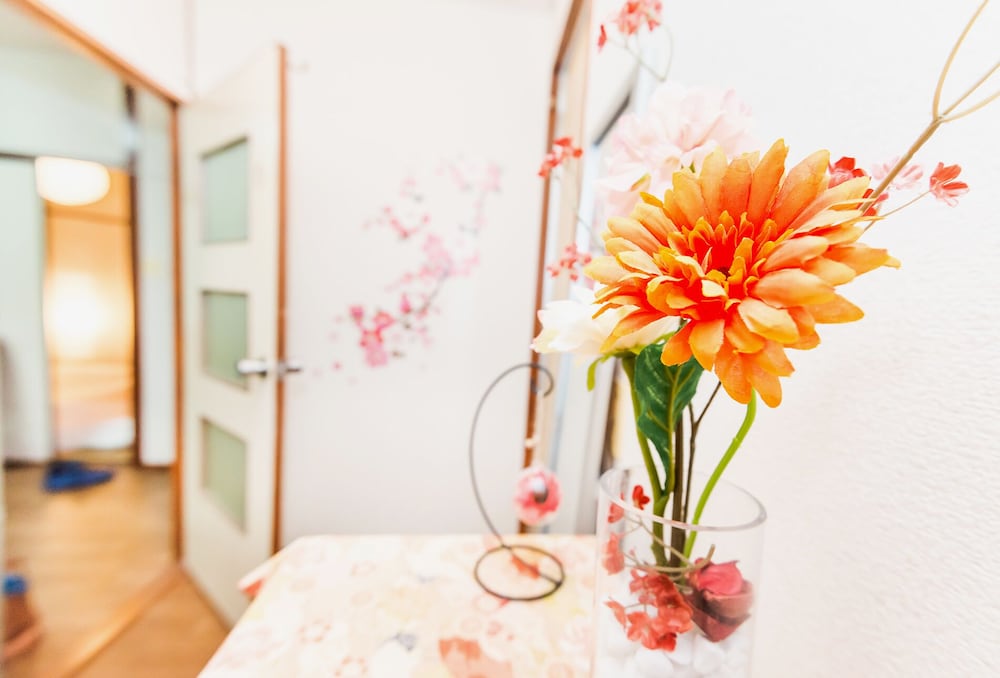 NAMBA SUNNY AND COMFORTABLE APARTMENT 大阪