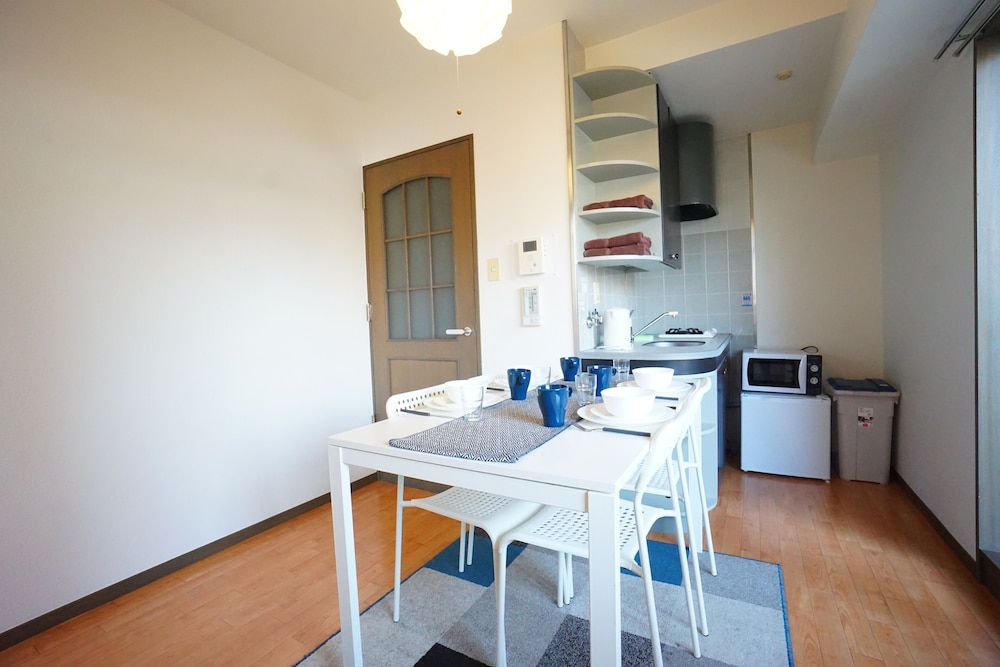 TERRY'S APARTMENT SHINSAIBASHI EAST I G10C 大阪