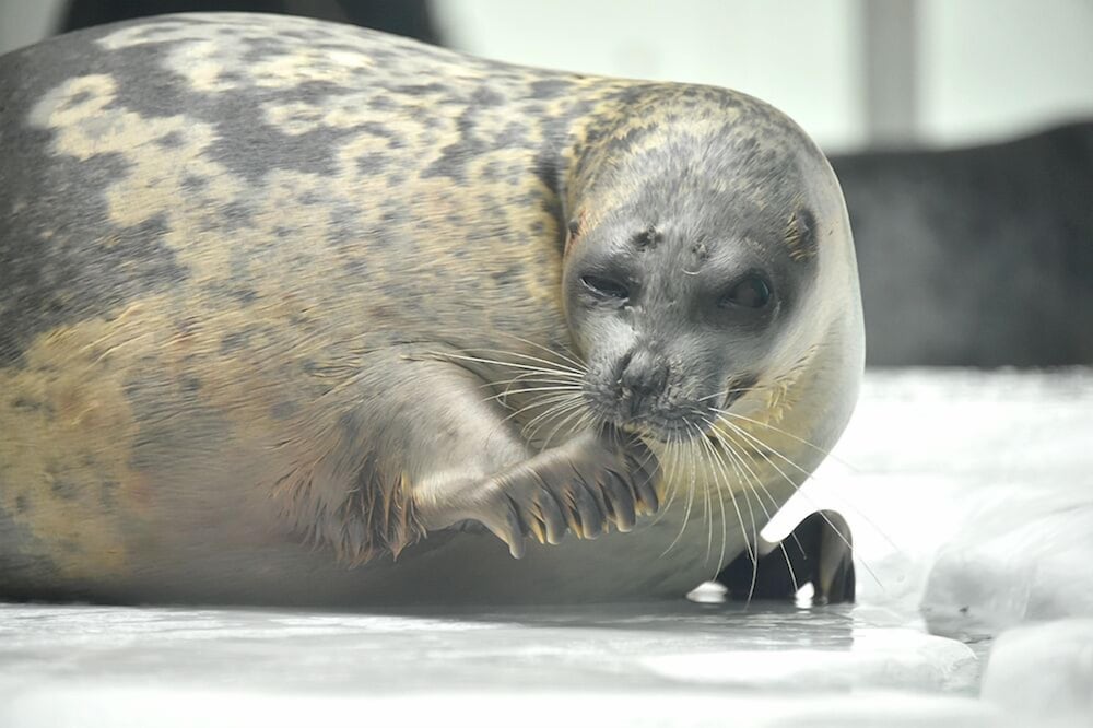 さくらサンズホテル 大阪