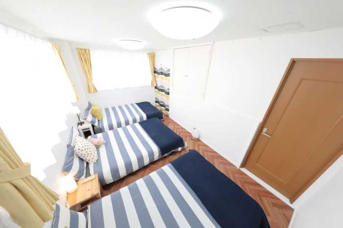 VIVID ZEBRA HOUSE - 197-1 大阪