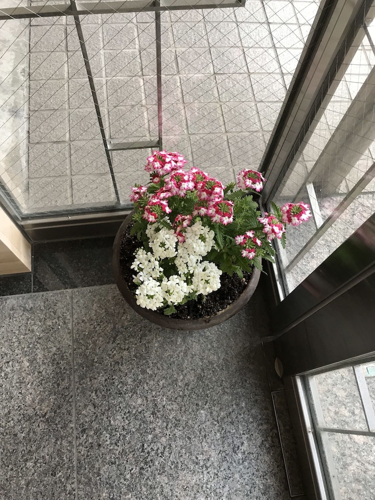 キャリア コーポレーション 大阪