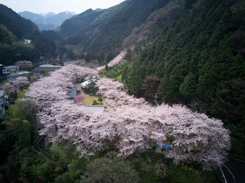 櫻泉会館 大阪