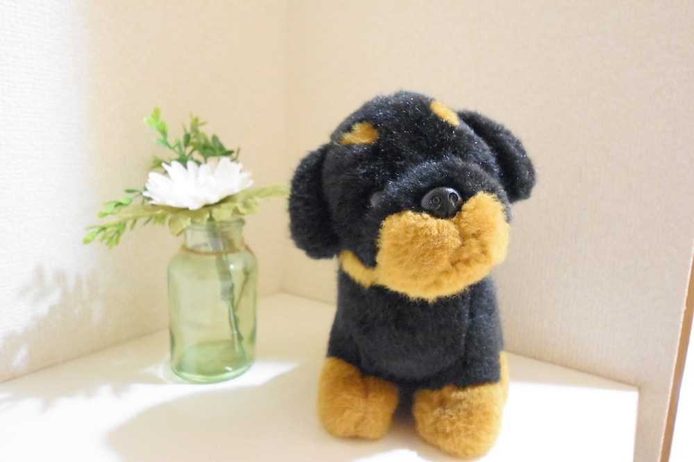 HEART OF SHINSAIBASHI APARTMENT 大阪