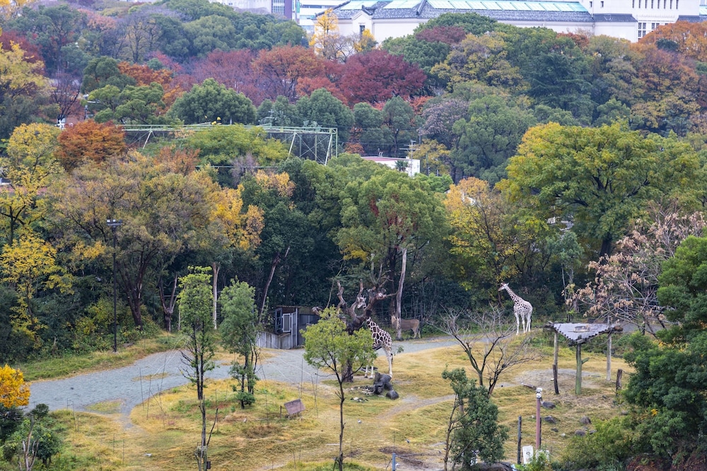 HOTEL SSK OSAKA NANIWA 大阪