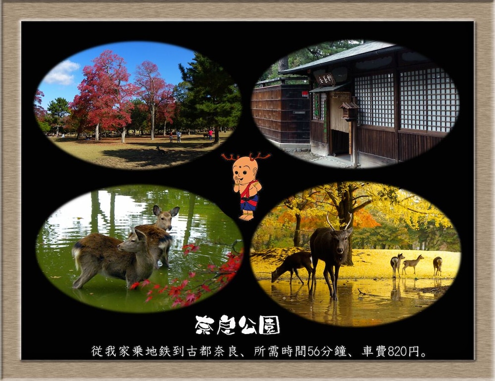 NAKAGAWA'S COZY HOUSE 大阪