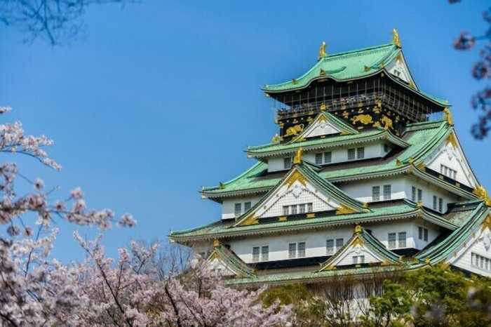 ぴーすはうす寿々波 大阪