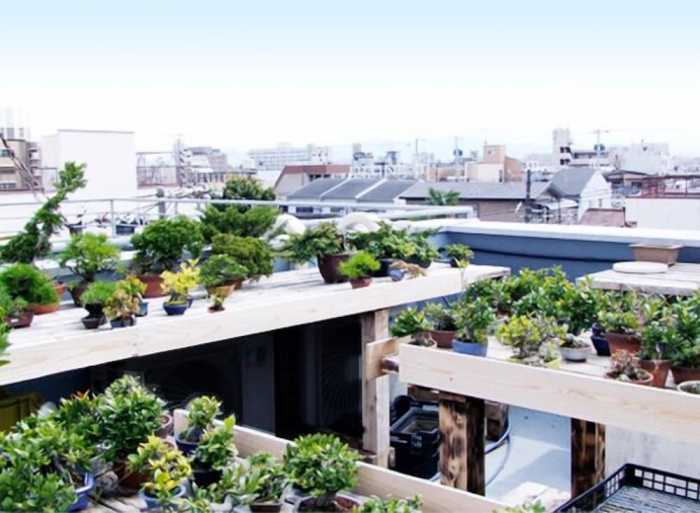 盆栽ゲストハウス 大阪