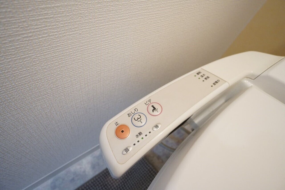 APARTMENT VR HAKUYU MOTOMACHI NAMBA 大阪