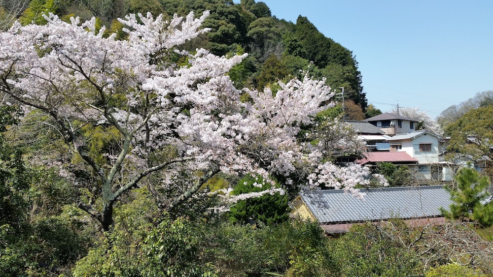 あまみ温泉 南天苑 大阪
