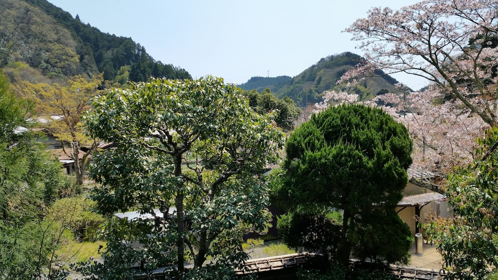 あまみ温泉 南天苑 大阪