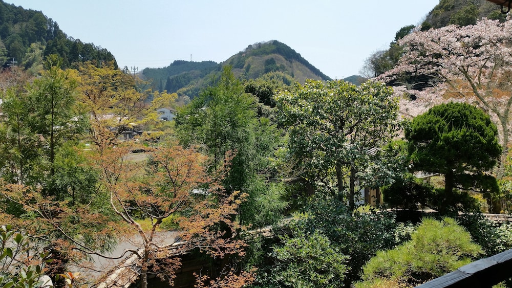 あまみ温泉 南天苑 大阪