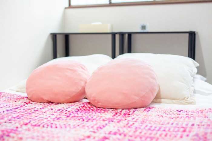 COMFORT SELF HOTEL PRIMERA MOMODANI 大阪