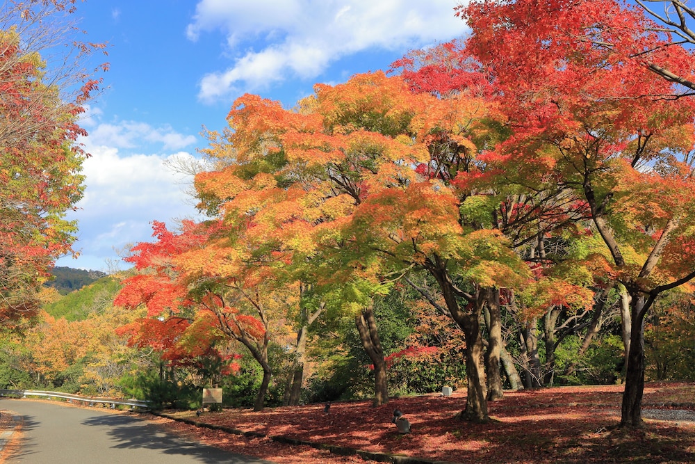 山荘 風の杜 大阪