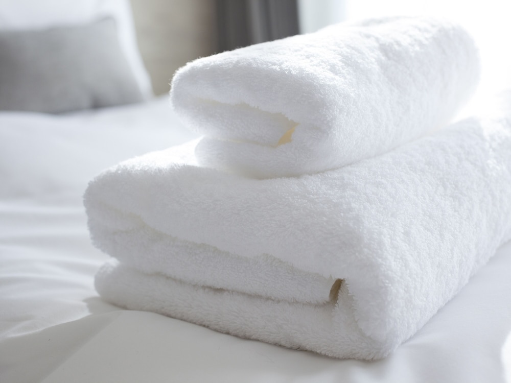HOTEL THE LEBEN OSAKA 大阪