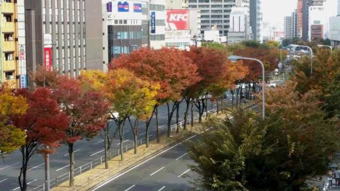 HOTEL SAKURA - HOSTEL 大阪