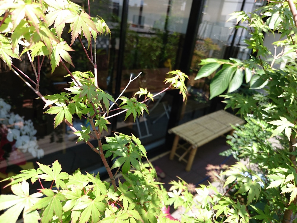 桜ら庵 大阪