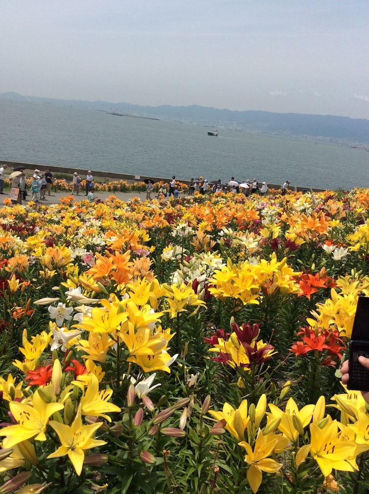 励明園 大阪