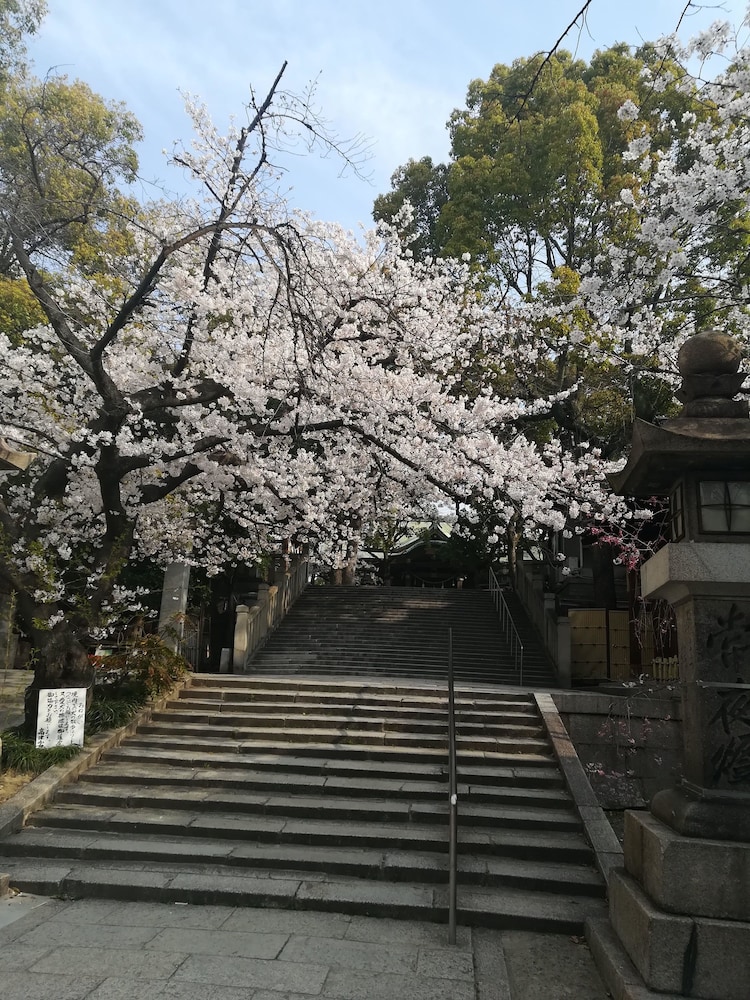 OSAKA STAY JP 大阪