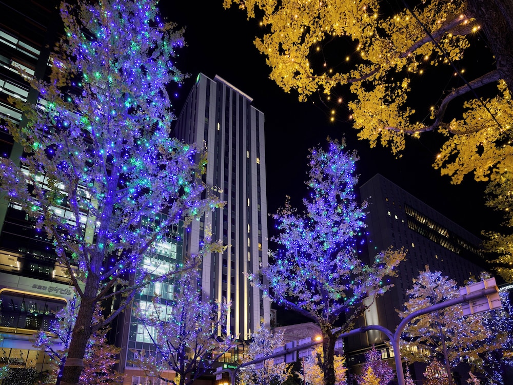 ホリデイ・インエクスプレス大阪シティセンター御堂筋 バイ IHG 大阪